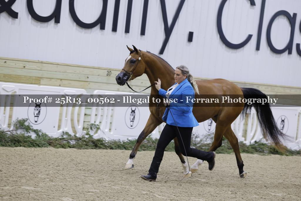 Proof Number 25R13_00562