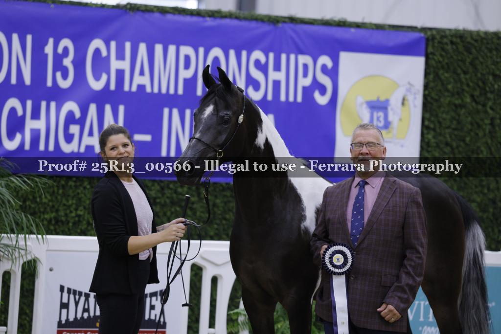 Proof Number 25R13_00566