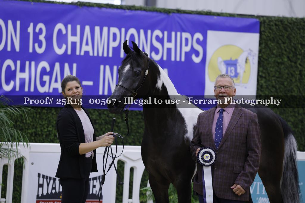 Proof Number 25R13_00567