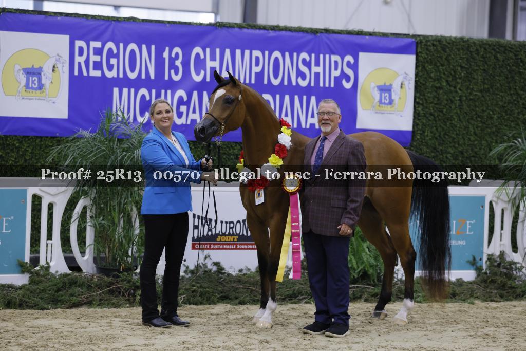 Proof Number 25R13_00570