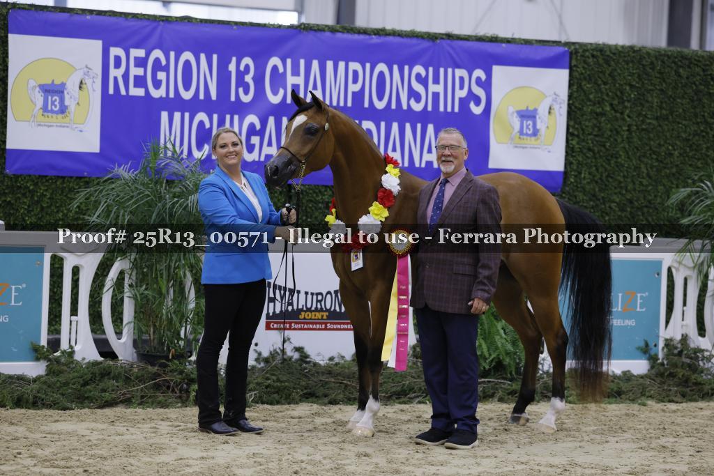 Proof Number 25R13_00571