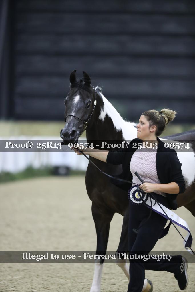 Proof Number 25R13_00574