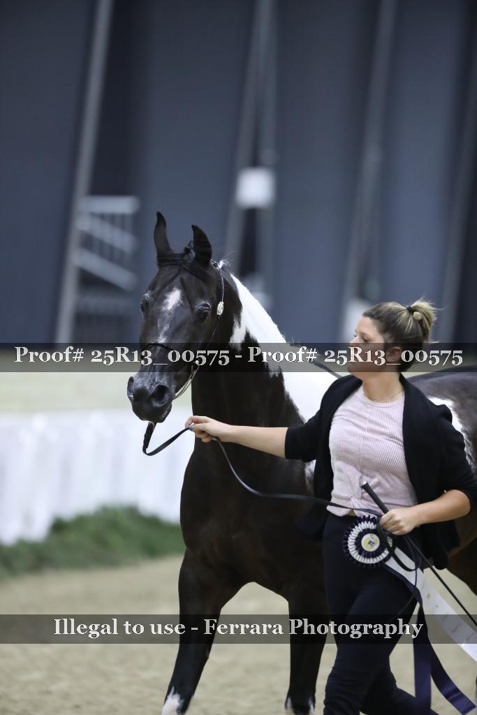 Proof Number 25R13_00575