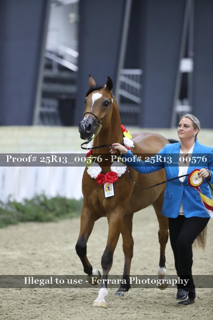 Proof Number 25R13_00576
