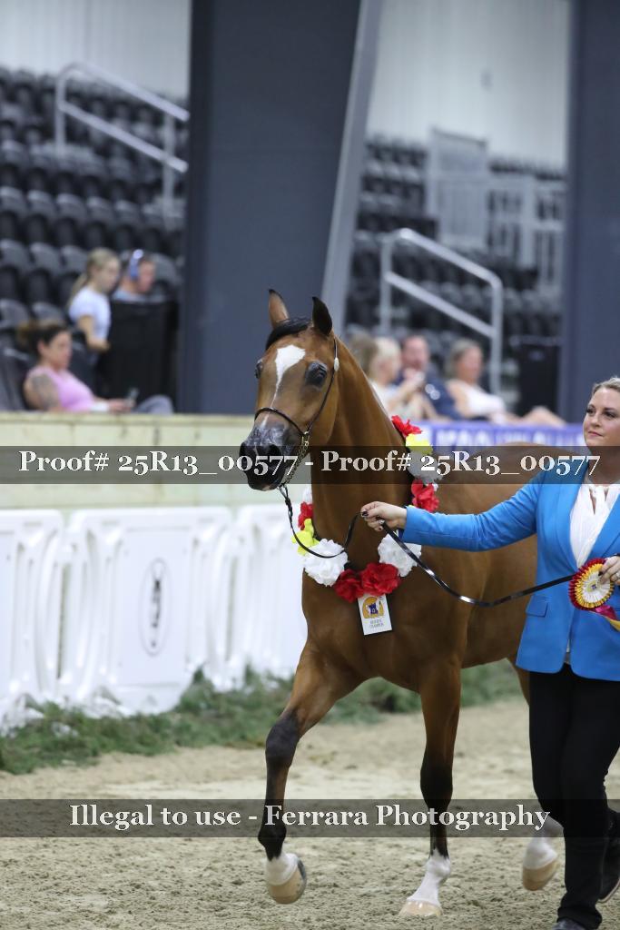 Proof Number 25R13_00577