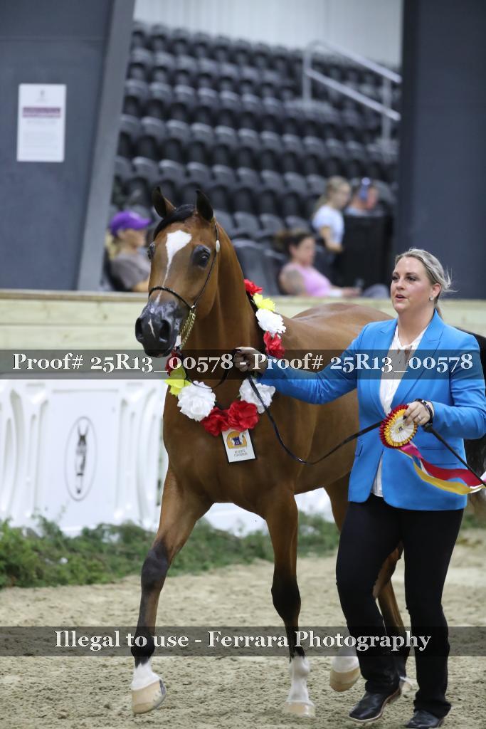 Proof Number 25R13_00578
