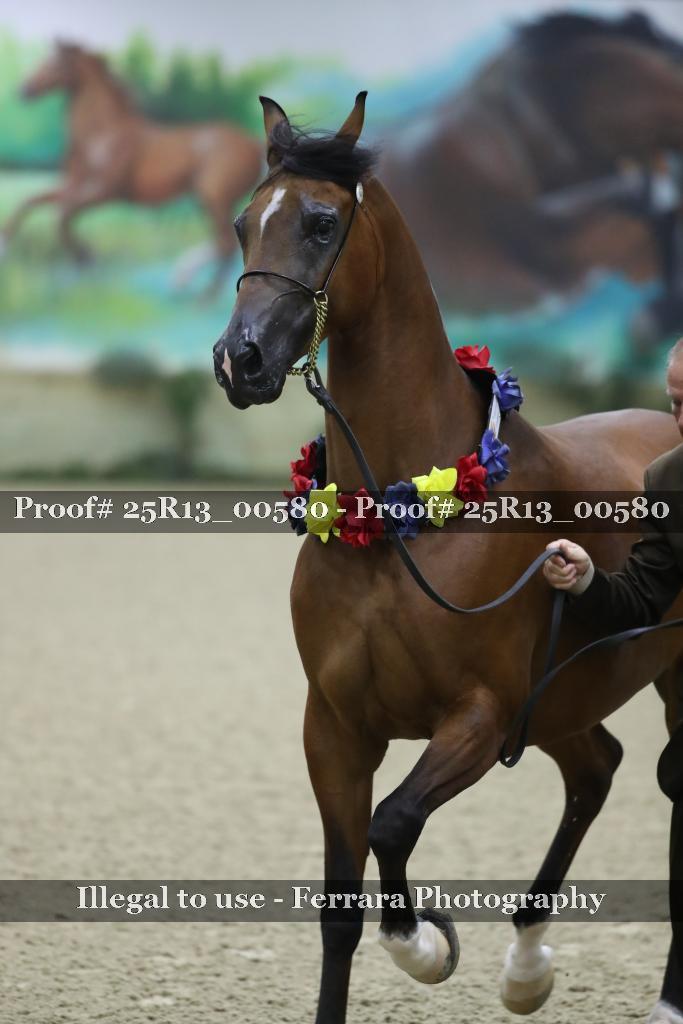 Proof Number 25R13_00580