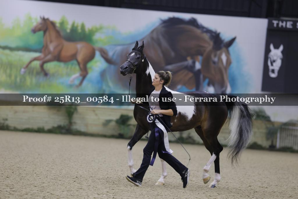 Proof Number 25R13_00584