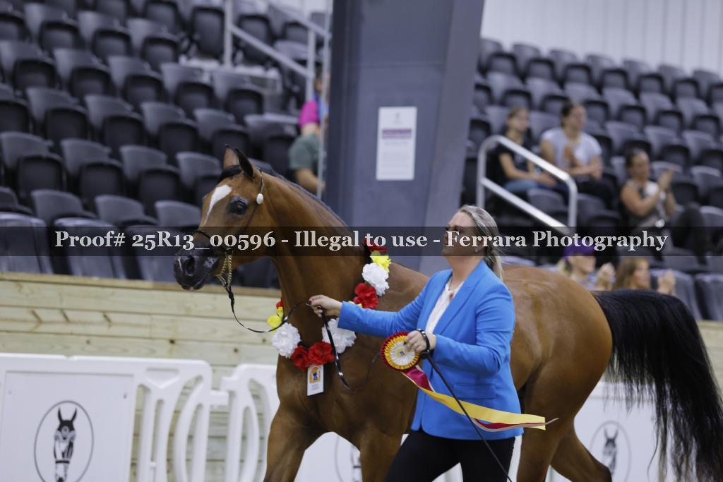 Proof Number 25R13_00596
