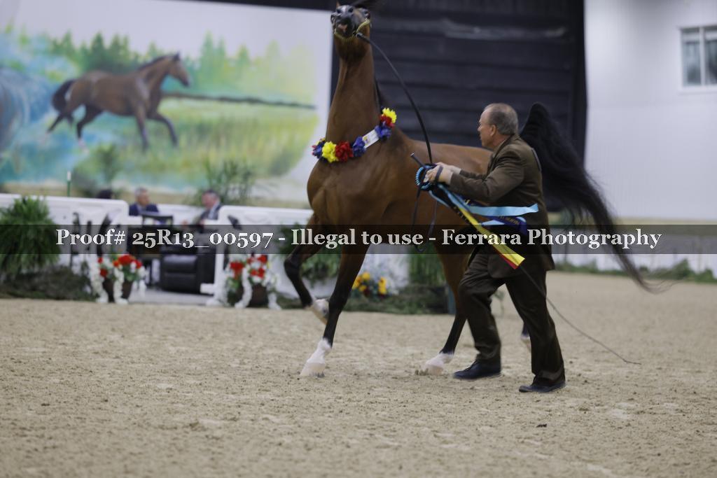 Proof Number 25R13_00597