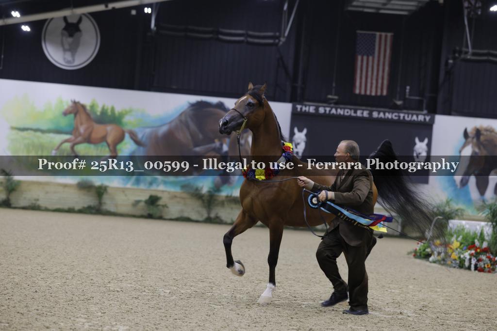 Proof Number 25R13_00599