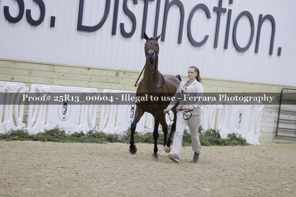 Proof Number 25R13_00604