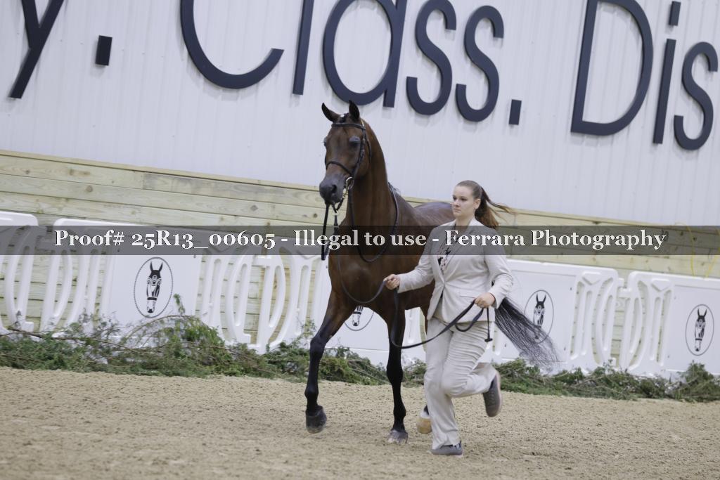 Proof Number 25R13_00605