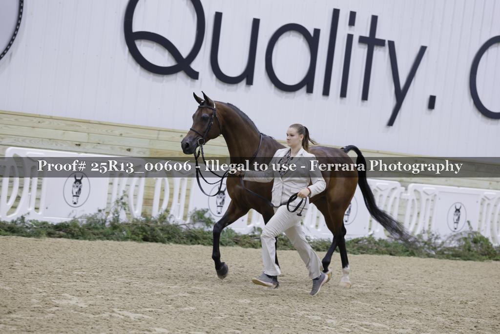 Proof Number 25R13_00606