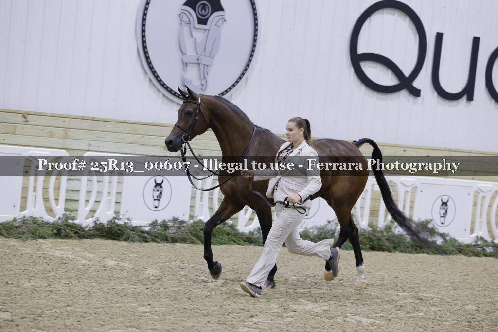Proof Number 25R13_00607