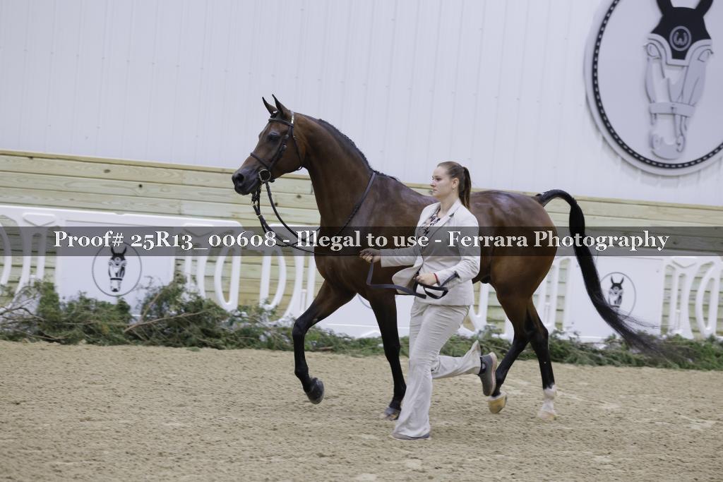 Proof Number 25R13_00608