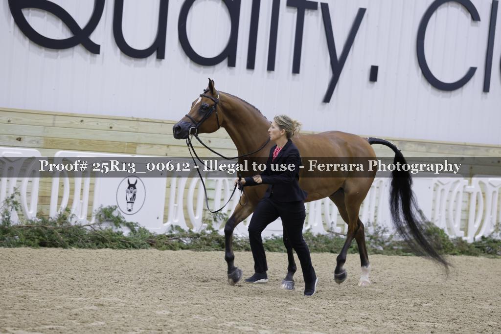Proof Number 25R13_00612