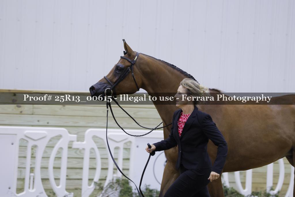 Proof Number 25R13_00615