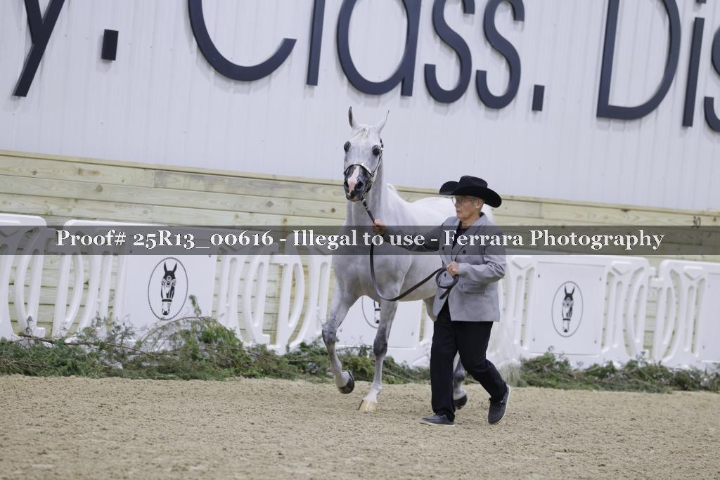 Proof Number 25R13_00616