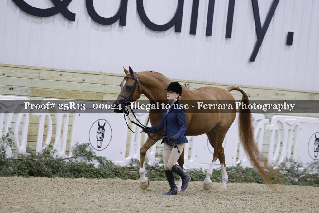Proof Number 25R13_00624