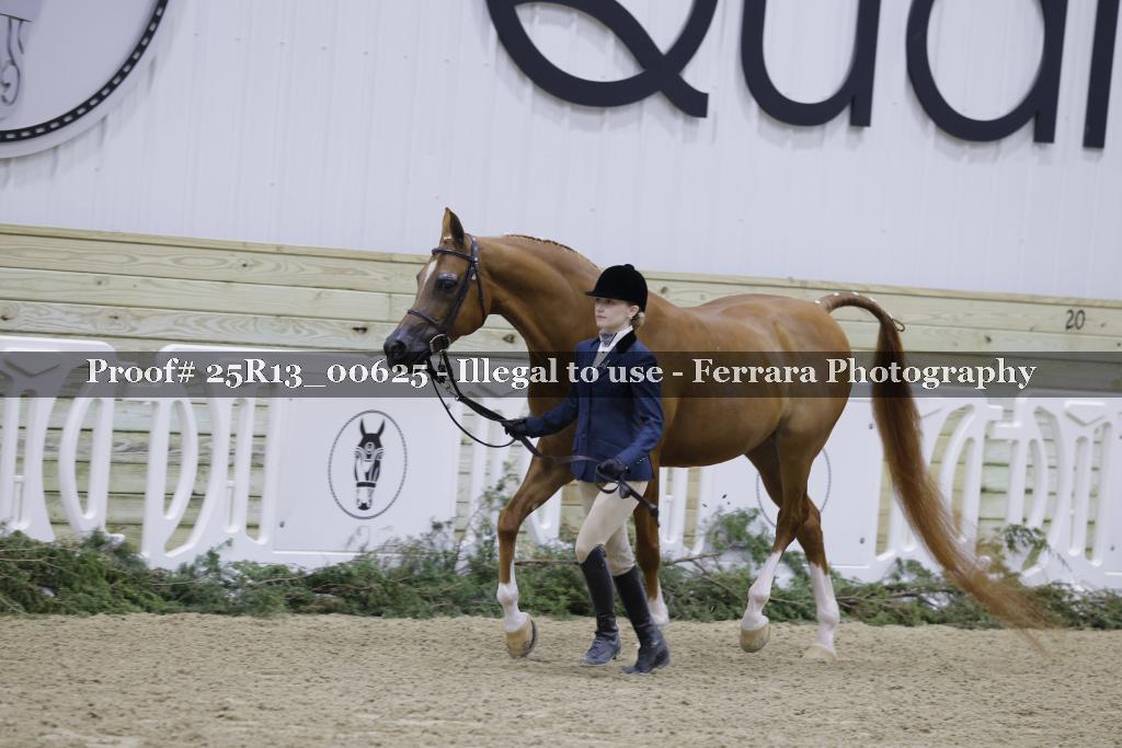 Proof Number 25R13_00625