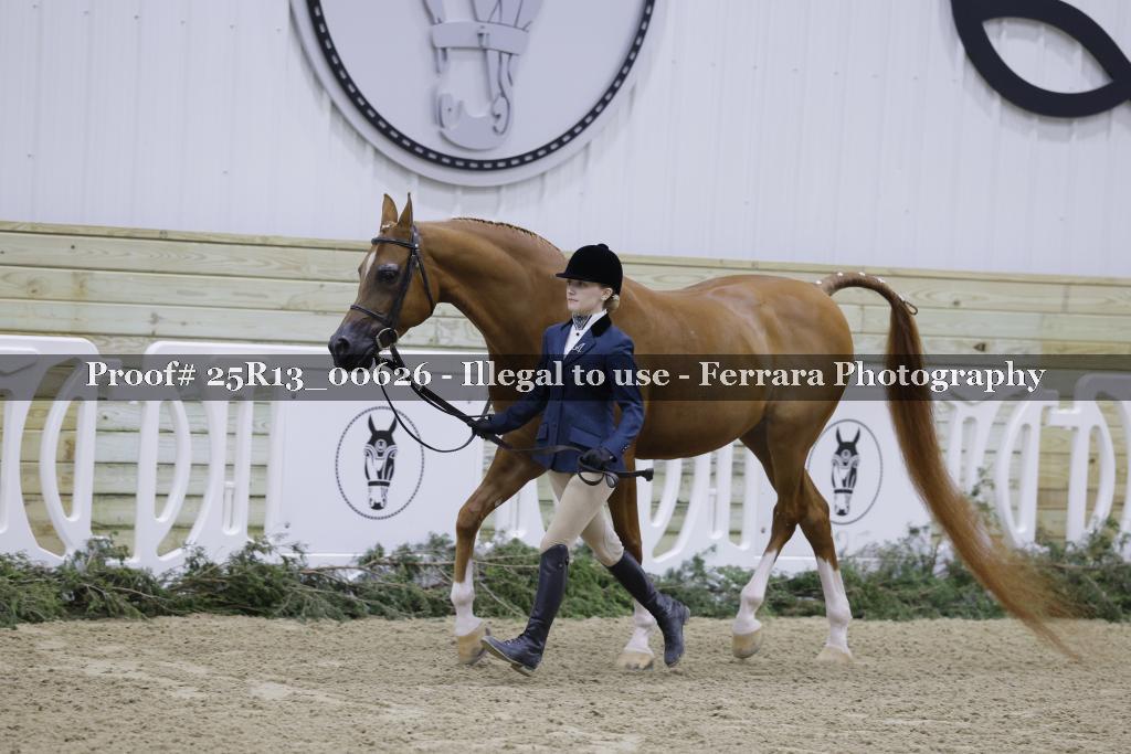 Proof Number 25R13_00626