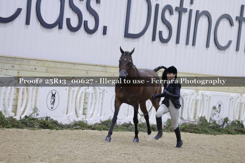 Proof Number 25R13_00627