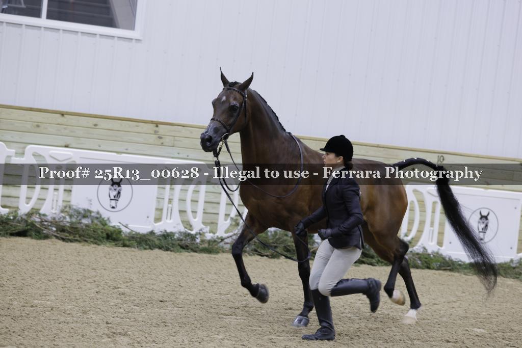 Proof Number 25R13_00628