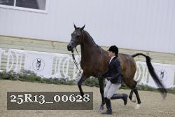 25R13_00628 thumbnail