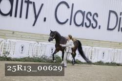 25R13_00629 thumbnail