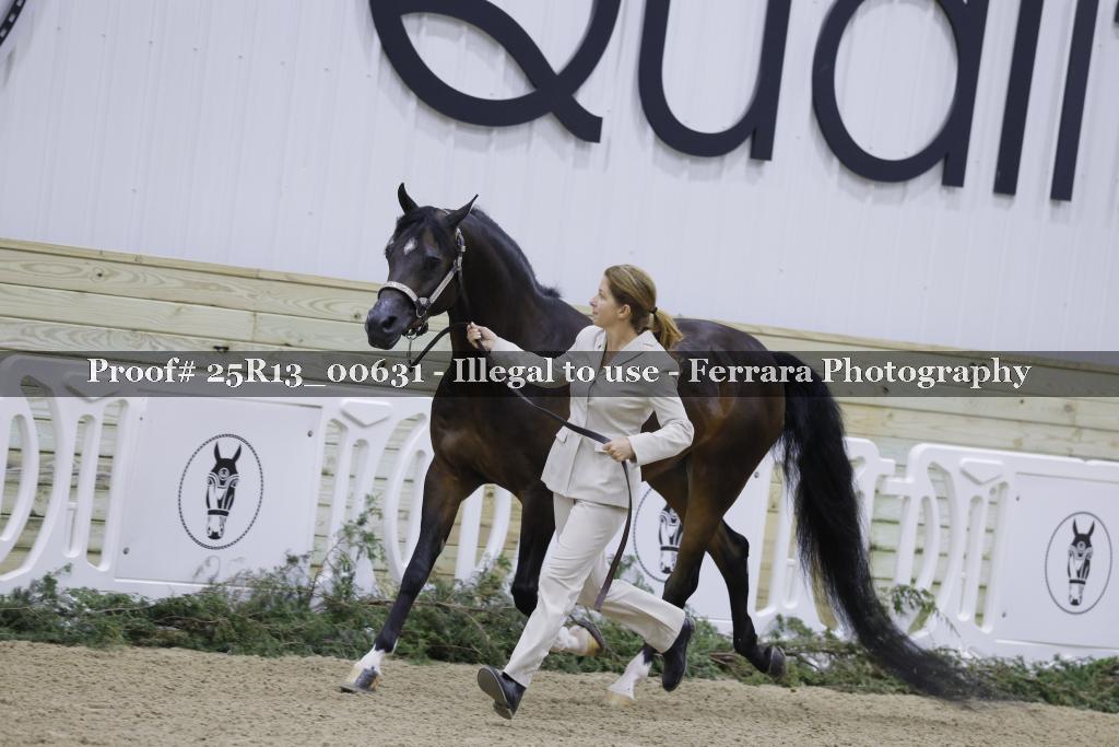Proof Number 25R13_00631