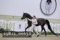 25R13_00633 thumbnail