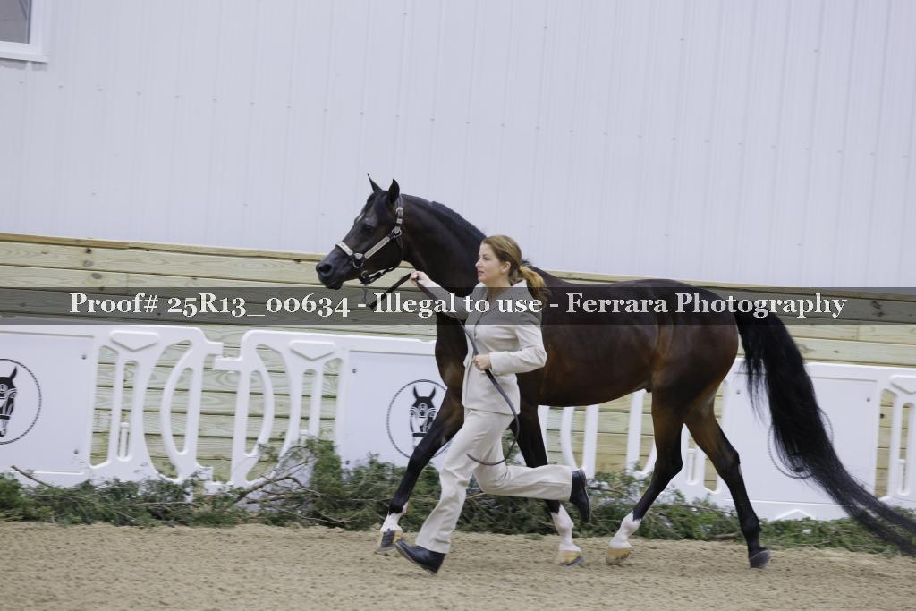 Proof Number 25R13_00634
