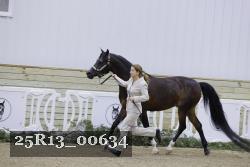 25R13_00634 thumbnail