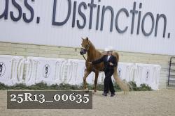 25R13_00635 thumbnail