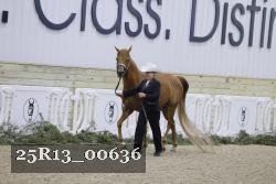 25R13_00636 thumbnail