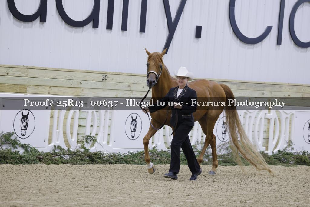 Proof Number 25R13_00637