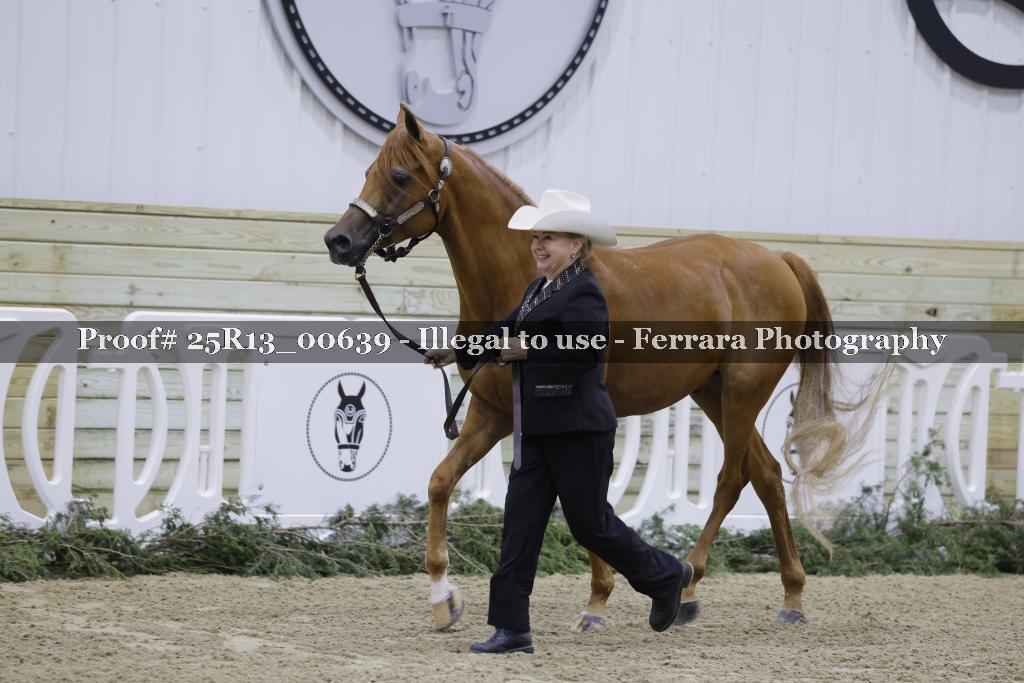 Proof Number 25R13_00639