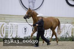 25R13_00639 thumbnail