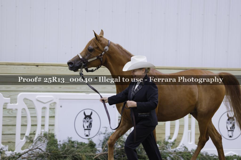 Proof Number 25R13_00640