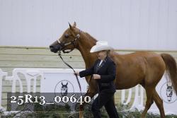 25R13_00640 thumbnail