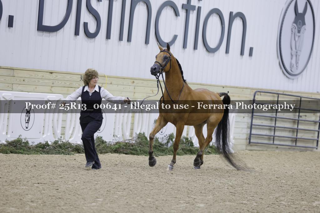 Proof Number 25R13_00641