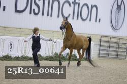 25R13_00641 thumbnail
