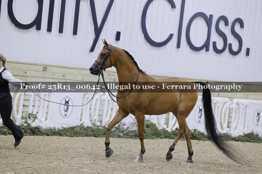 Proof Number 25R13_00642