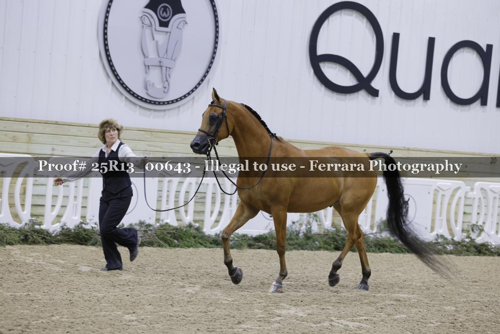 Proof Number 25R13_00643