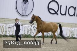 25R13_00643 thumbnail