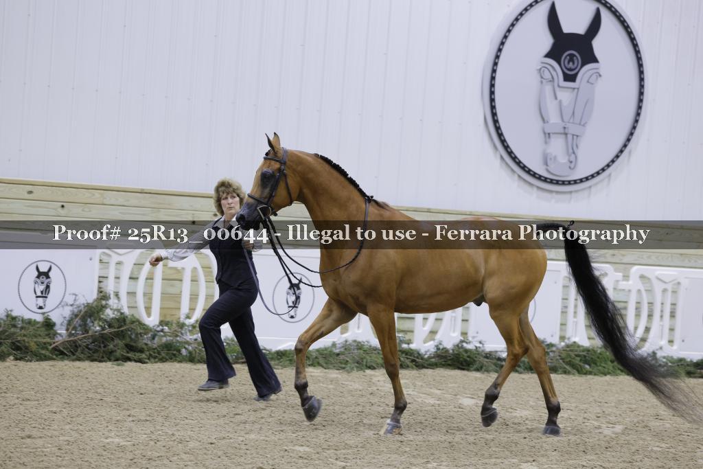 Proof Number 25R13_00644