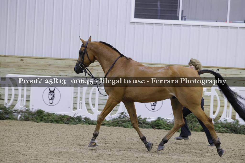 Proof Number 25R13_00645
