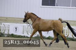 25R13_00645 thumbnail
