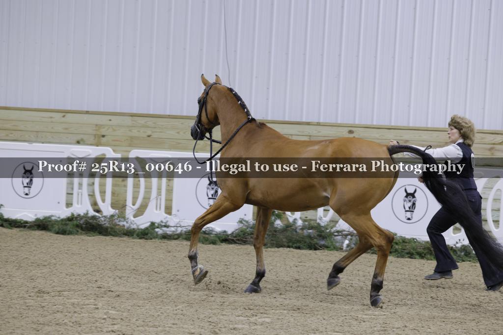 Proof Number 25R13_00646
